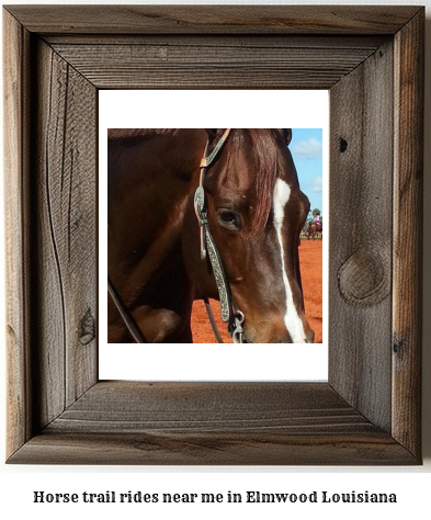 horse trail rides near me in Elmwood, Louisiana